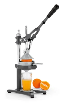 Zaksenberg Holit Hebel-Zitruspresse Hadarit Anthrazit Online