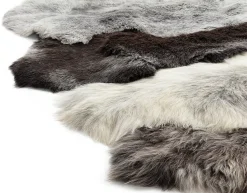 Heitmann Felle Heidschnuckenfell