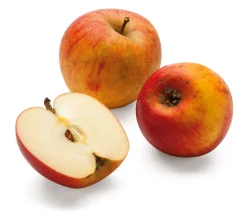 Martin Müller Baumschulen Herbstapfel 'Goldparmäne' Online