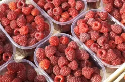 Karl Telfser Himbeer-Fruchtaufstrich aus Südtirol