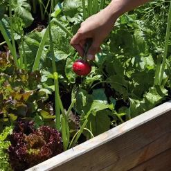 Estermeier Hochbeet Lärchenholz Best