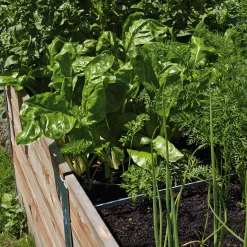 Estermeier Hochbeet Lärchenholz Best
