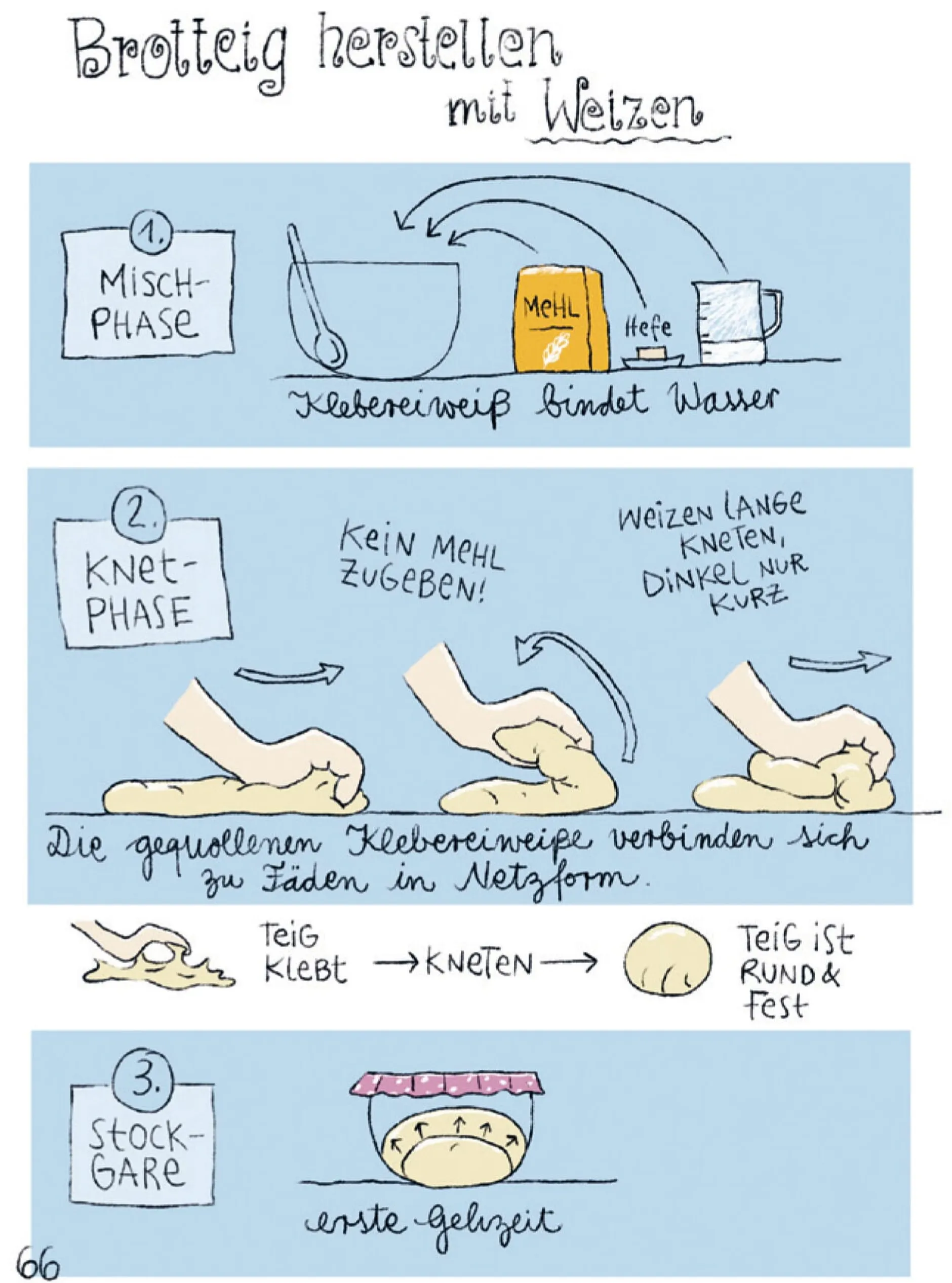 Ulmer Verlag I like my Sauerteig Best