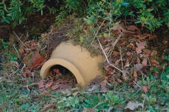 Denk Keramische Werkstätten Igelhaus Keramik Clearance