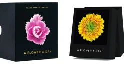 Seltmann Publishers Jahreskalender Flamboyant Flowers Outlet