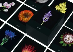 Seltmann Publishers Jahreskalender Flamboyant Flowers Outlet