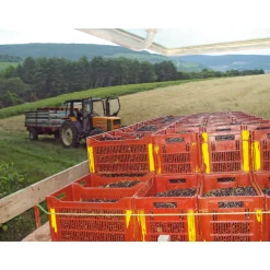 SARL Liqueurs Jean. Baptiste Joannet Joannet Crème de Cassis Online