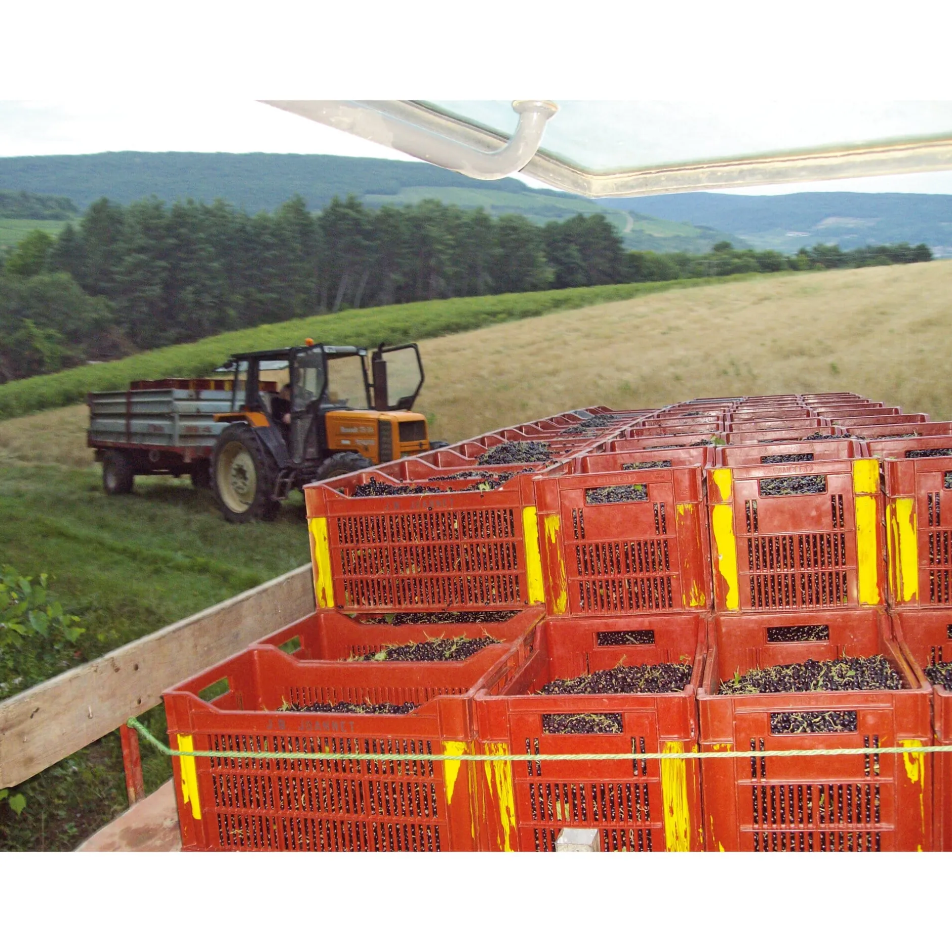 SARL Liqueurs Jean. Baptiste Joannet Joannet Crème de Cassis Online