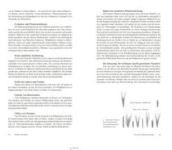 Edition Wurzer & Vilgis Journal Culinaire Online