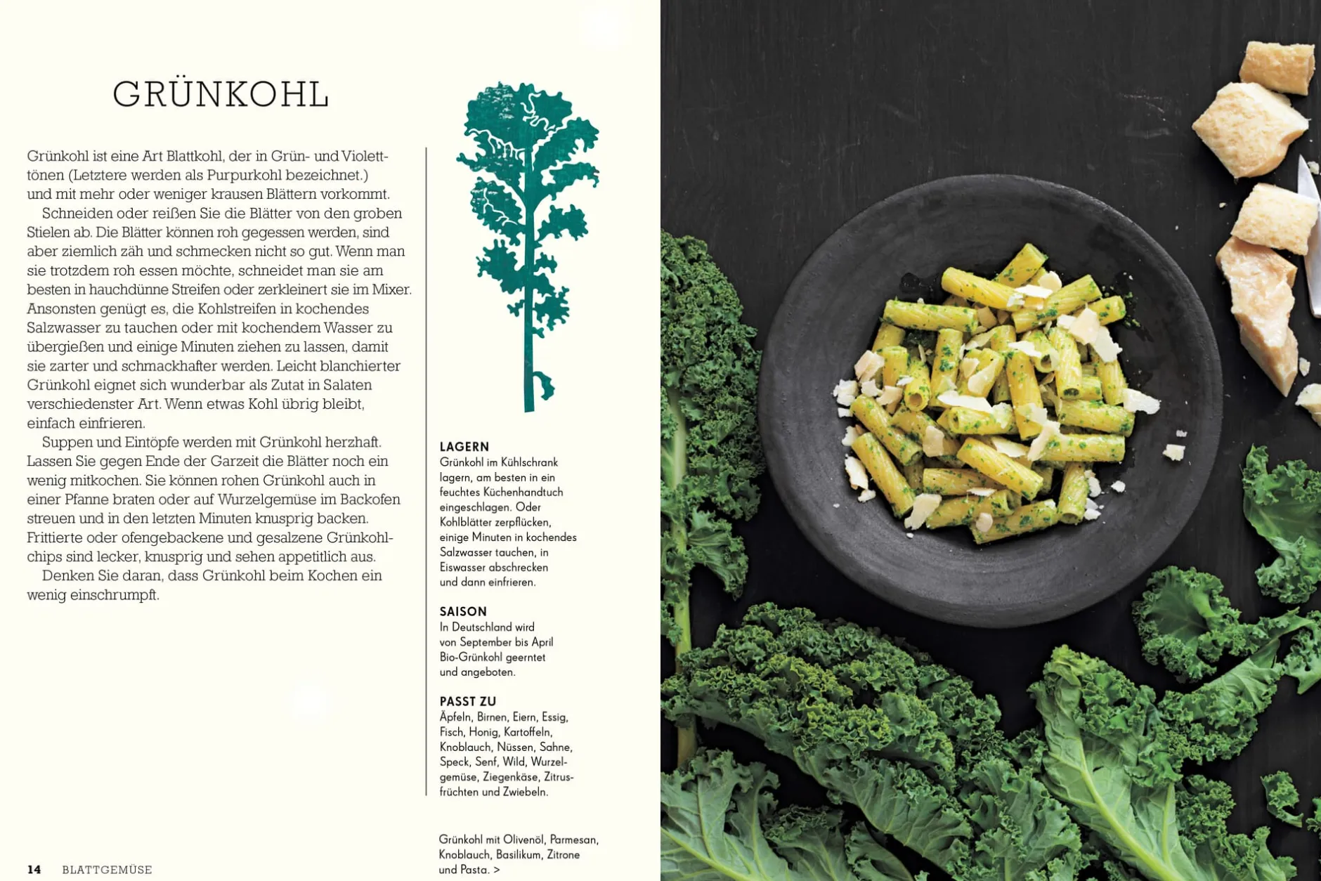 Die Gestalten Verlag Junges Gemüse Online