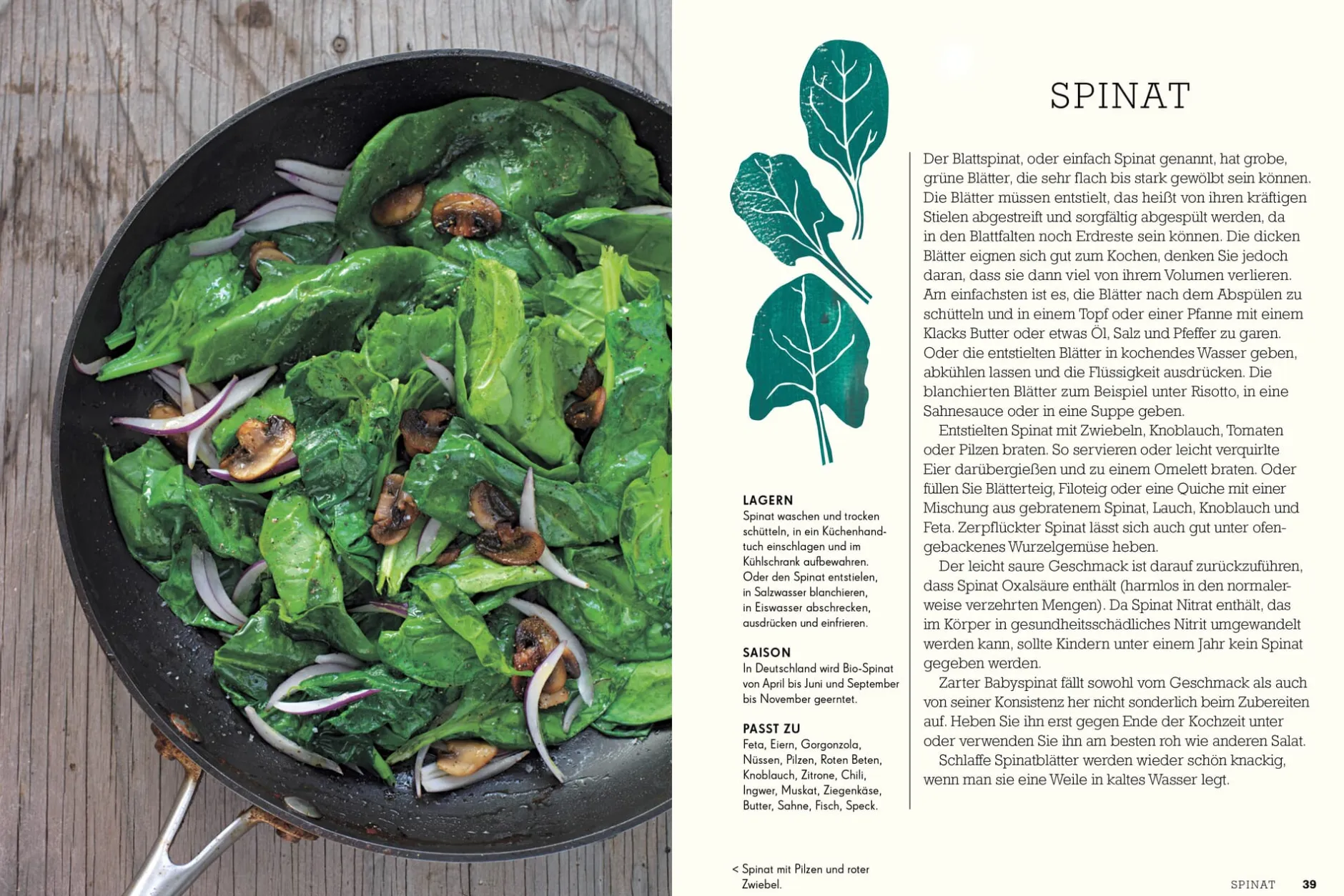 Die Gestalten Verlag Junges Gemüse Online