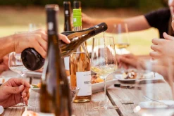 Weingut Winter Kalkstein Riesling Discount