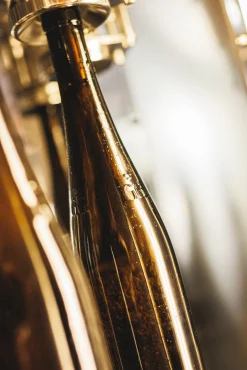 Weingut Winter Kalkstein Riesling Discount