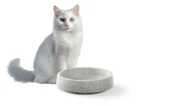 Denk Keramische Werkstätten Katzennapf Granitkeramik Clearance