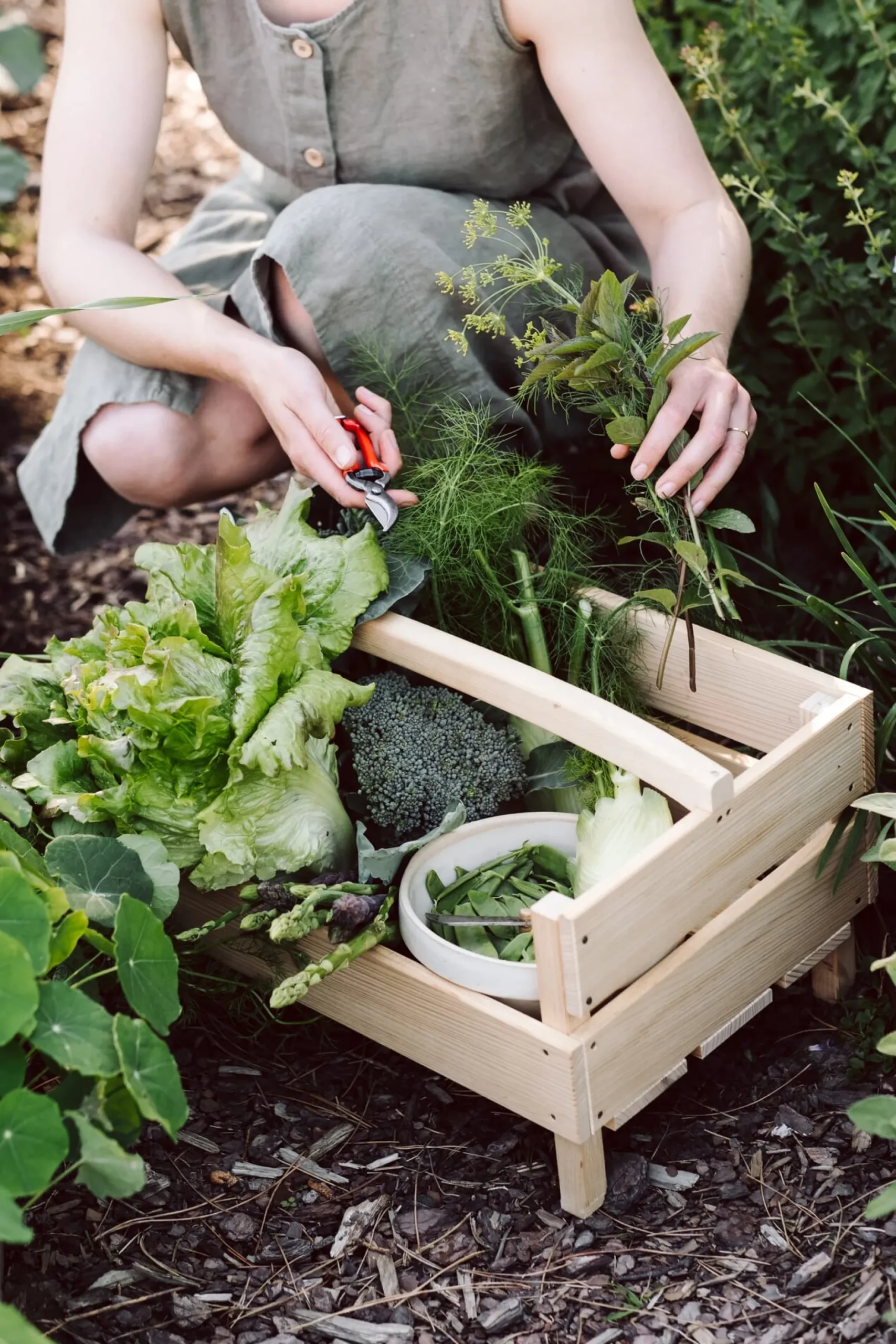 Clauberg Filhos Kleine Gartenschere Discount