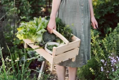 Clauberg Filhos Kleine Gartenschere Discount