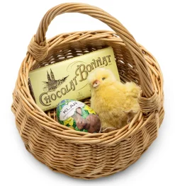 Weidenprofi Kleiner Weidenkorb mit Henkel Discount