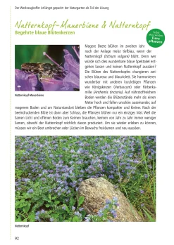 Pala-Verlag Klimafest und artenreich New