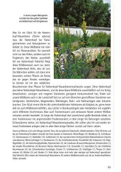 Pala-Verlag Klimafest und artenreich New