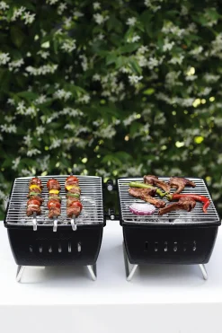 Koffergrill Flötz Schwarz Sale