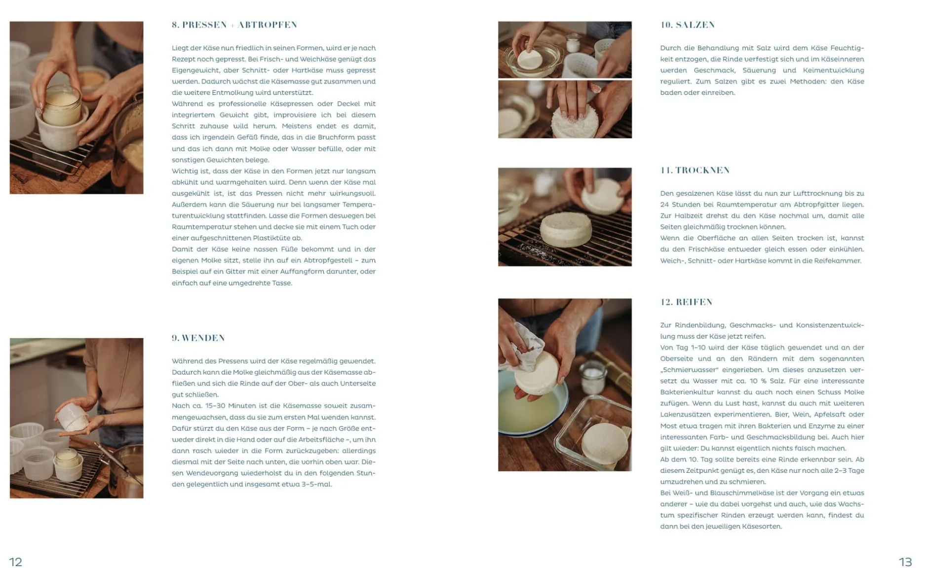 Löwenzahn Verlag Käseglück Outlet