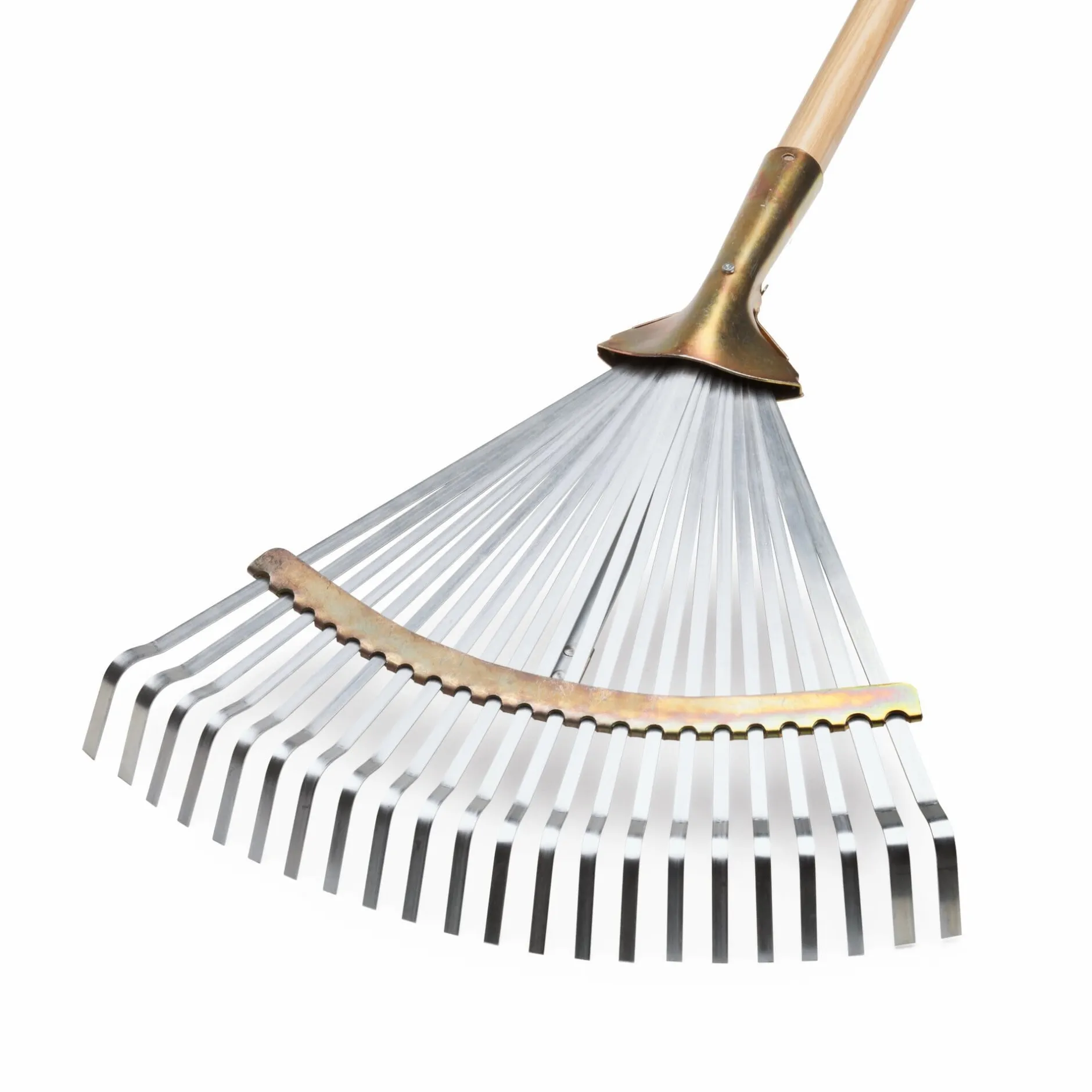 FLORA Wilh. Förster Laubbesen Stahl New