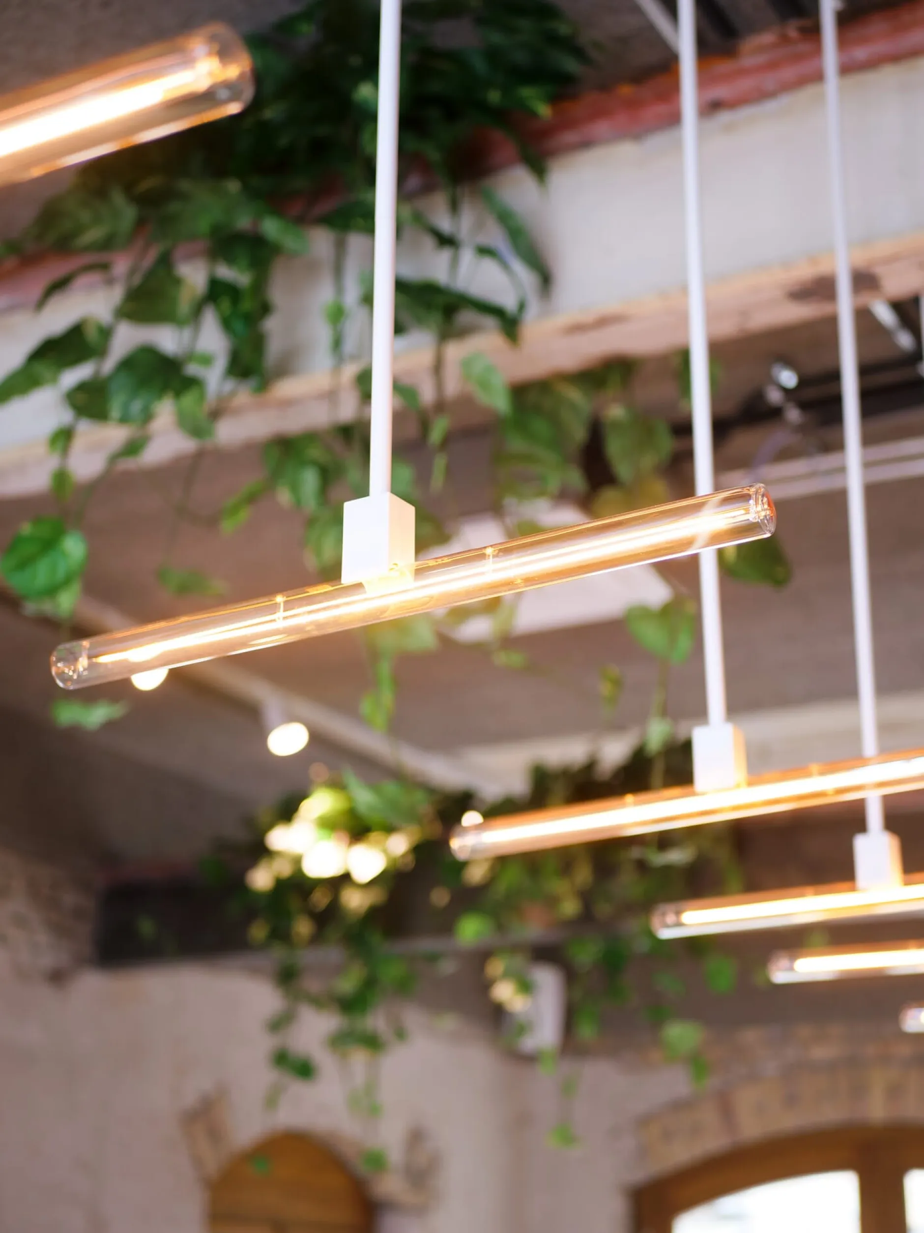 LED-Linienlampe S14d klar Sale