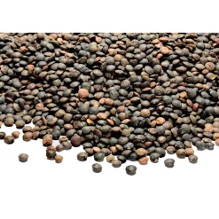 Trescarte Ste Le-Puy-Linsen Hot