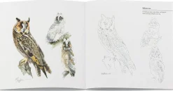 Tecklenborg Verlag Mal- und Zeichenbuch Outlet