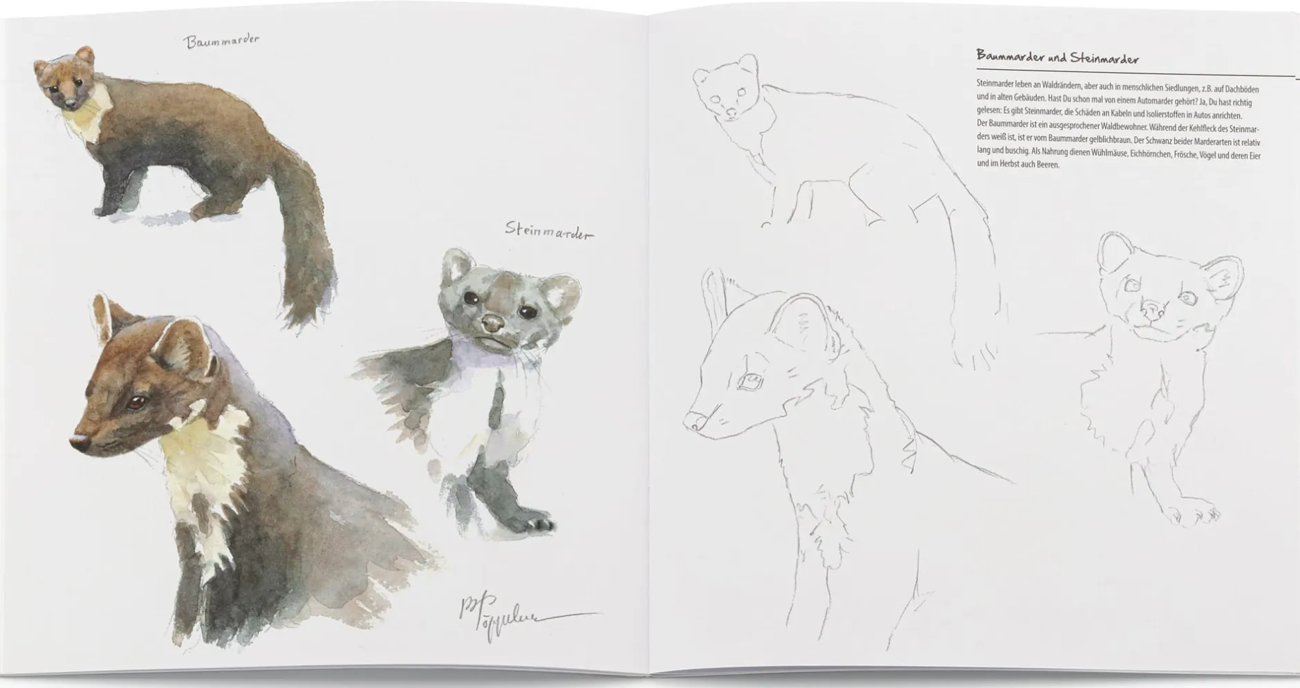 Tecklenborg Verlag Mal- und Zeichenbuch Discount