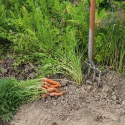 Manufactum Grabegabel Edelstahl