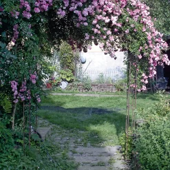 Manufactum Rosenbogen Stahl New