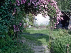 Manufactum Rosenbogen Stahl New