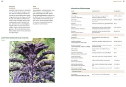 Ulmer Verlag Mein Garten wächst im Topf Clearance