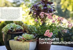 Ulmer Verlag Mein Garten wächst im Topf Clearance