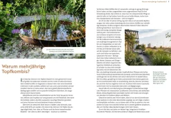 Ulmer Verlag Mein Garten wächst im Topf Clearance