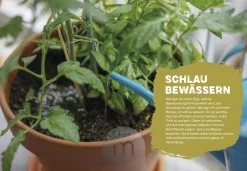 Ulmer Verlag Mein genialer Bio-Balkon Hot