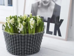 Korbo Metallkorb Hot