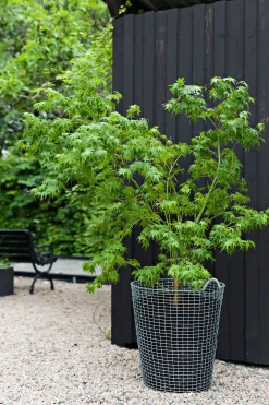 Korbo Metallkorb Outlet