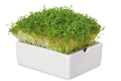 Heimgart Microgreens Bio-Saatpad Discount