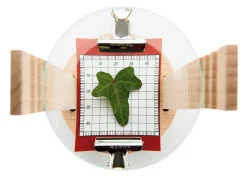 Naseweiss Mikroskop Clearance