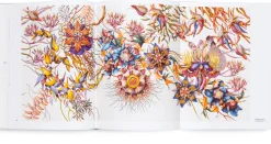 Hatje Cantz Verlag Miron Schmückle