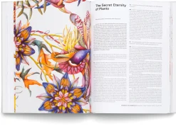 Hatje Cantz Verlag Miron Schmückle