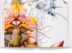 Hatje Cantz Verlag Miron Schmückle