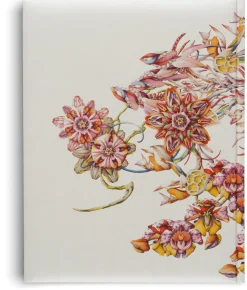 Hatje Cantz Verlag Miron Schmückle