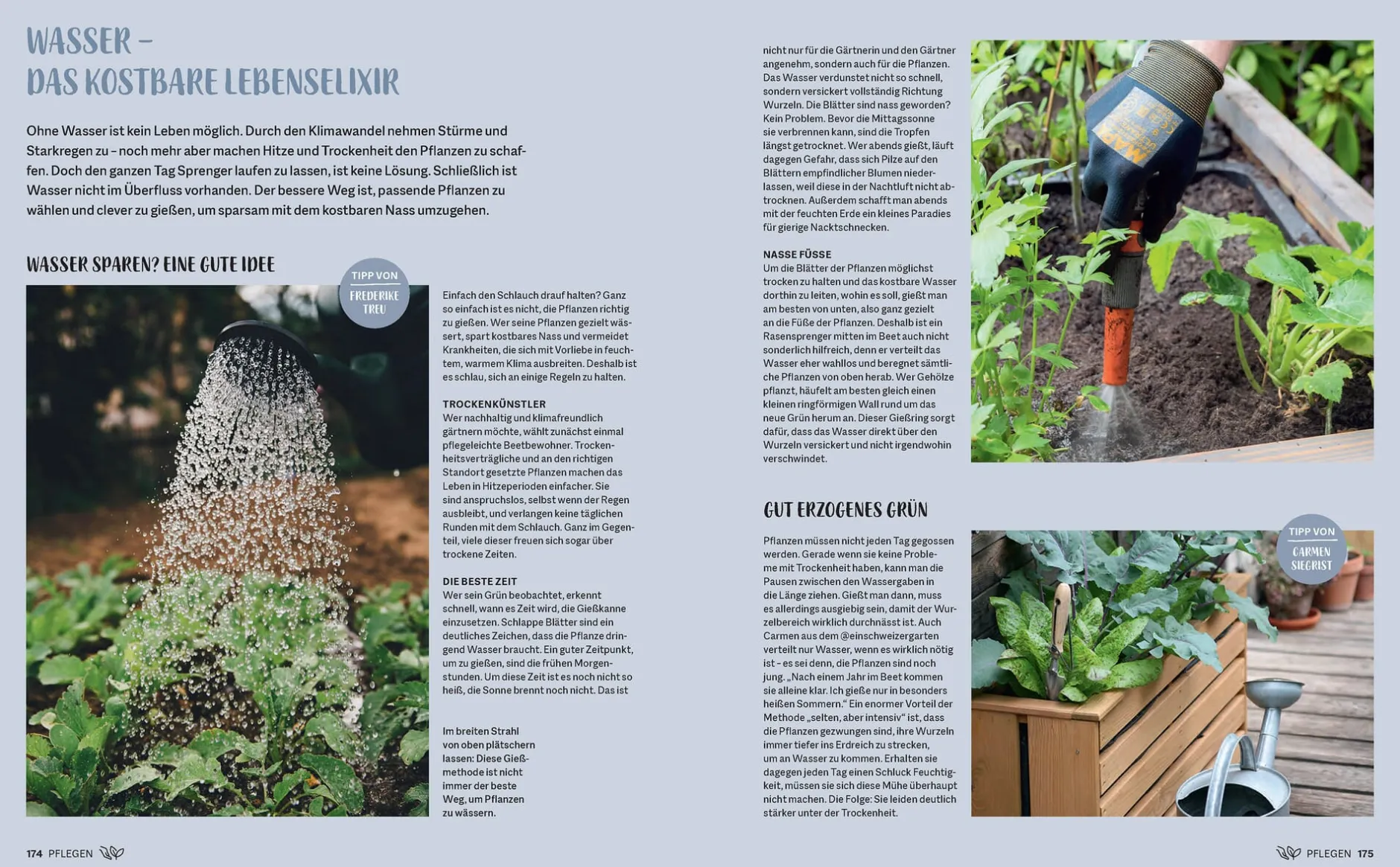 Prestel Verlag Morgen grüner Hot