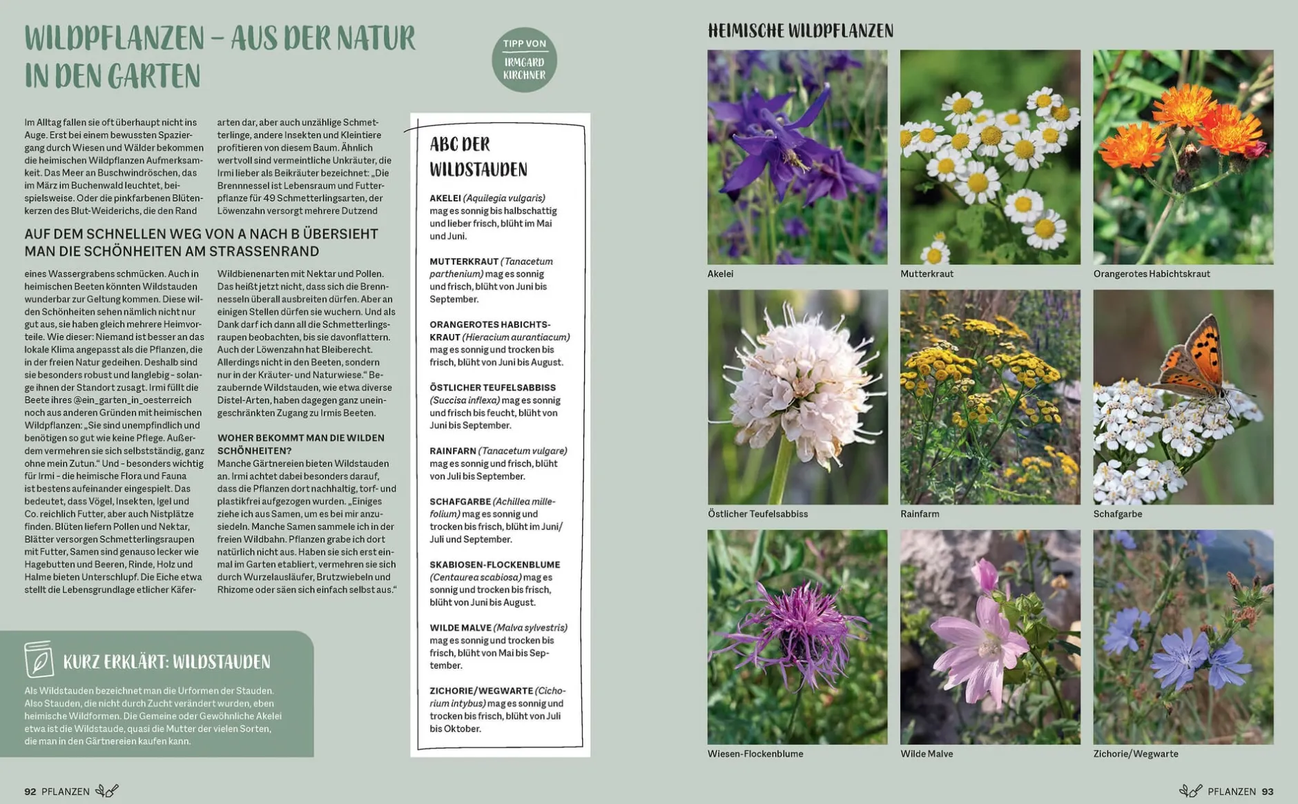 Prestel Verlag Morgen grüner Hot