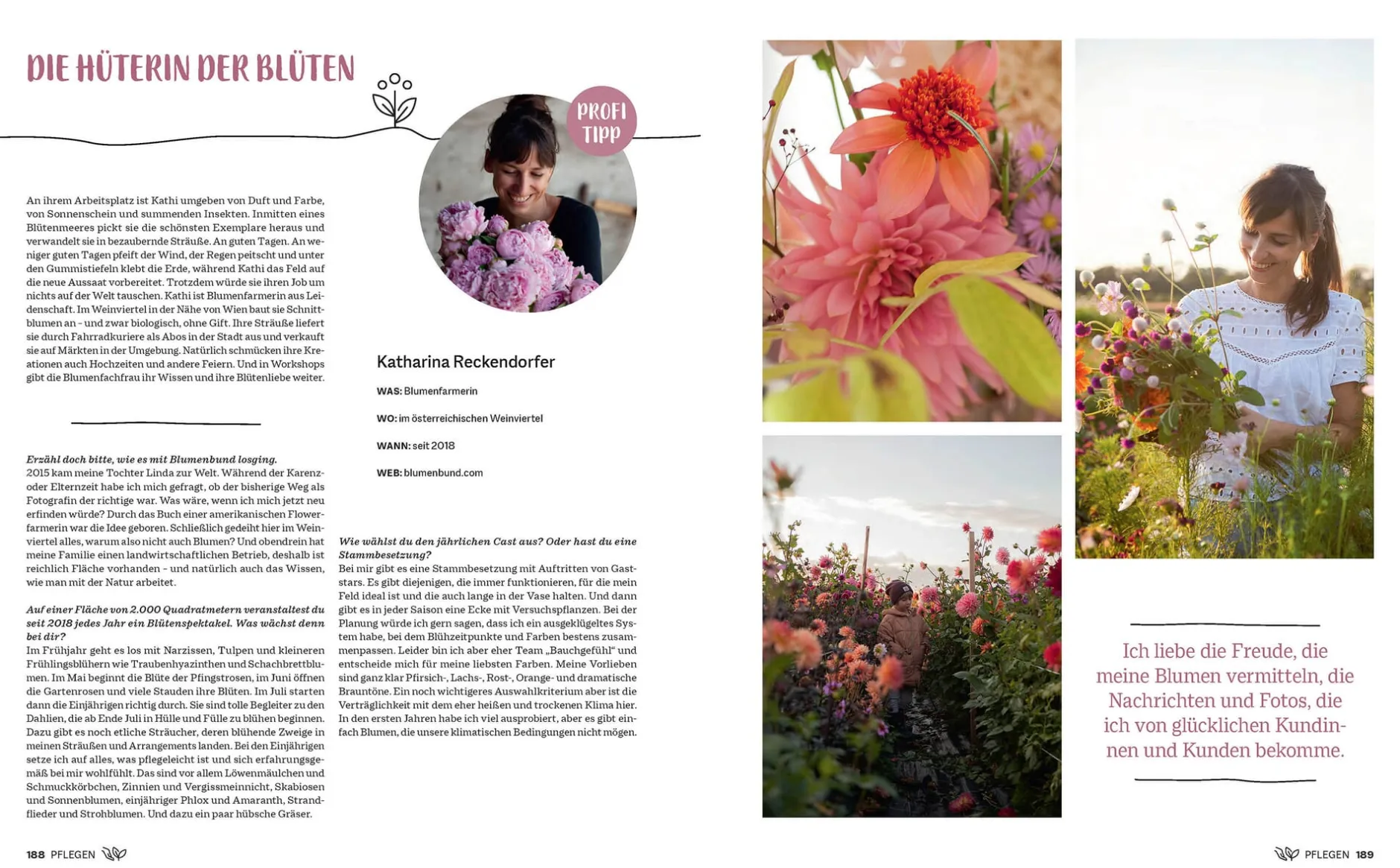 Prestel Verlag Morgen grüner Hot