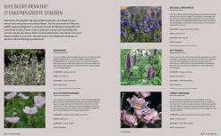 Prestel Verlag Morgen grüner Hot