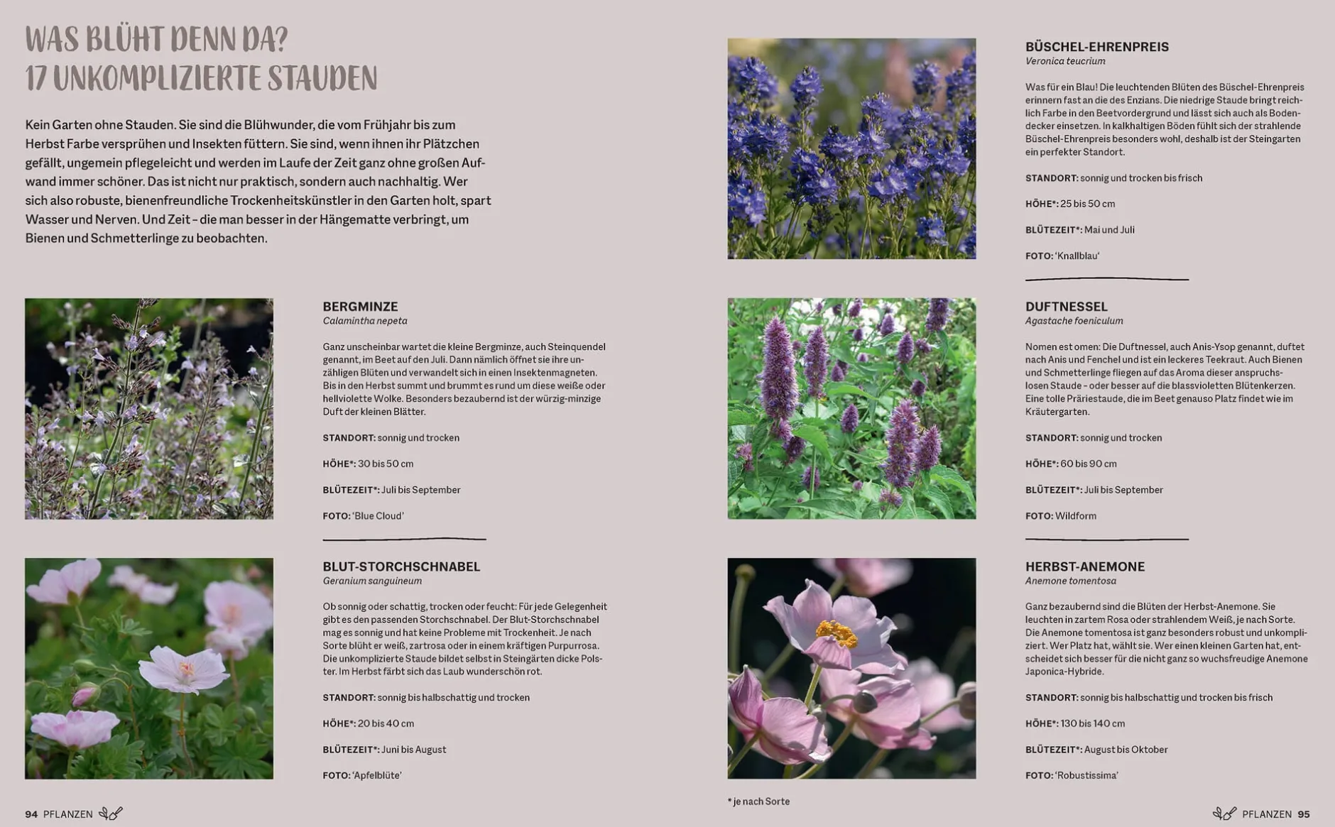 Prestel Verlag Morgen grüner Hot